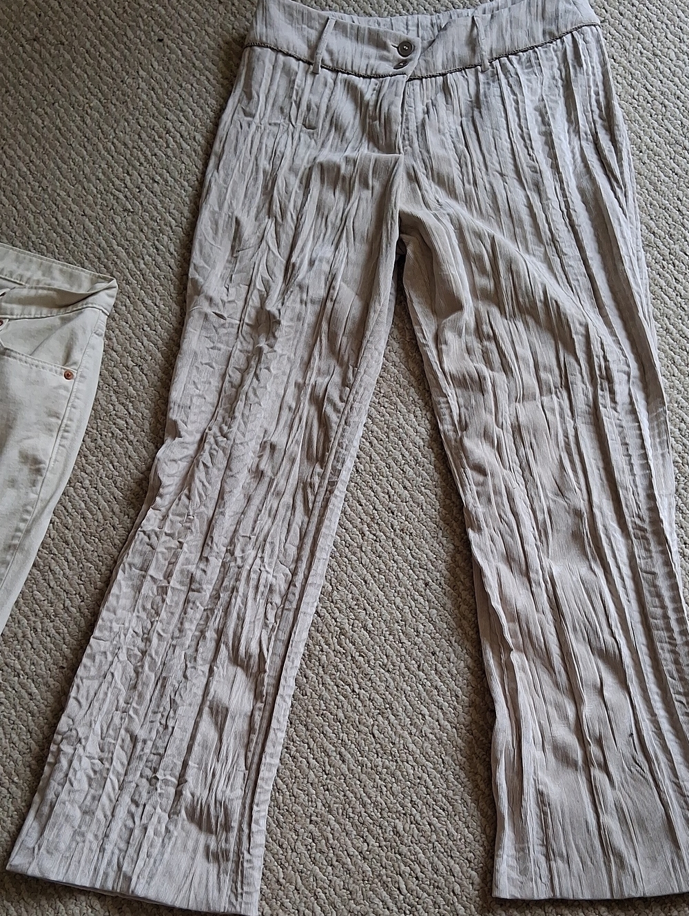 Animale Crinkled Wide-Leg Pants in Light Beige 40